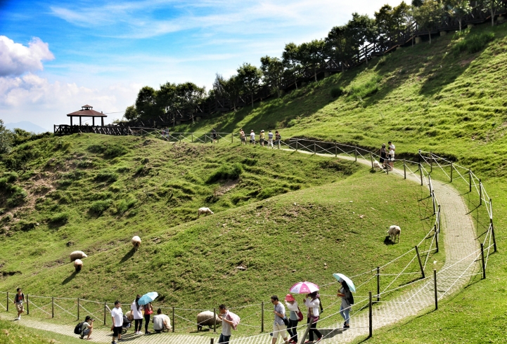 環島 - 尋找我的感動地圖(文長、圖多) - 全文完