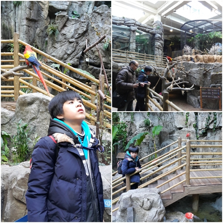 [遊記]2016冷吱吱首爾之旅(第三天_2016/1/19)