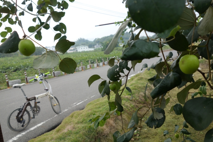 2016年不落新年第一場，高雄不落117，