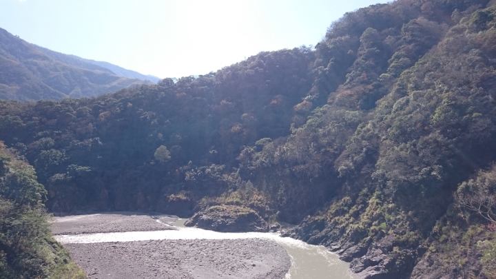 北橫櫻花勇士
