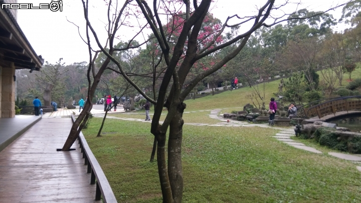 新北三芝緣道觀音廟