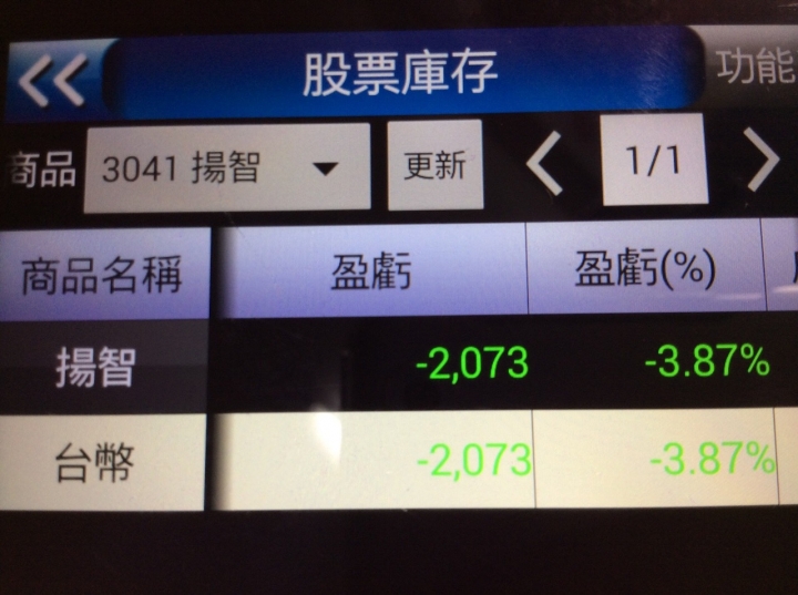 3041揚智