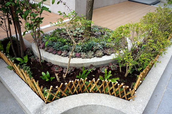 新家的小花園