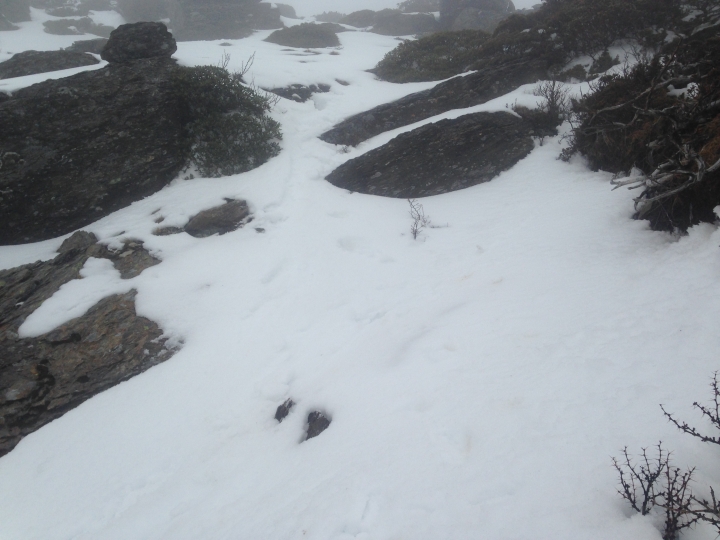 鬼行 ™ 冬雪隱士 → 冰雪南湖自由攀登