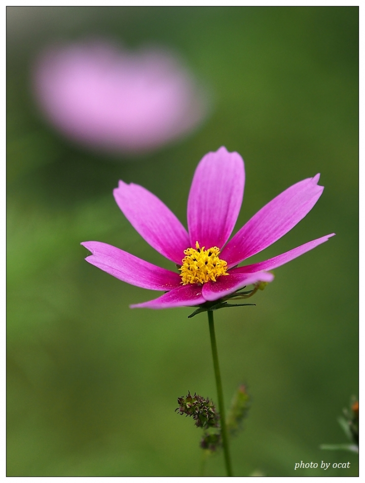 我與我過時的EP5同遊+心情隨拍(更新中)