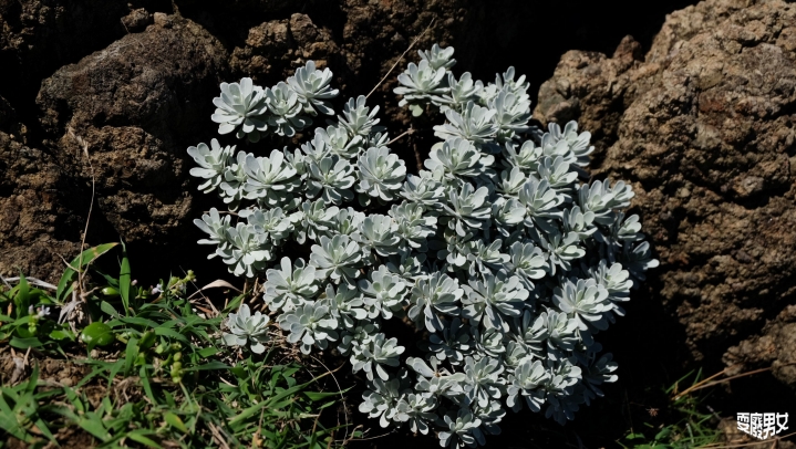 [環島●蘭嶼] 大環走_蘭嶼篇