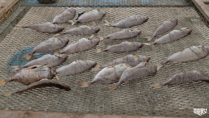[環島●澎湖] 員貝嶼