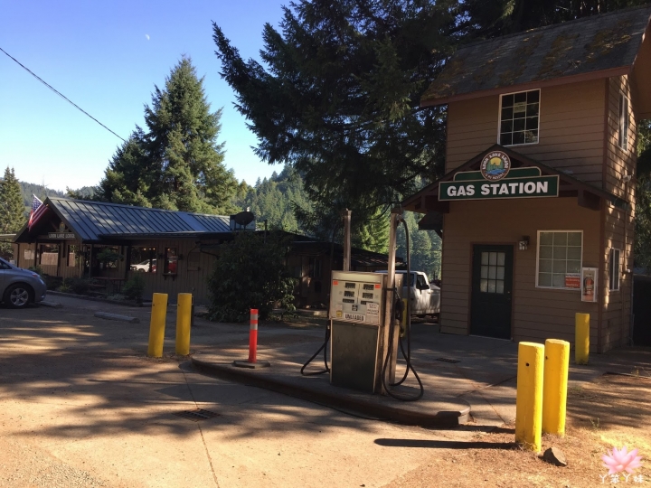 【美國・Reedsport・2015】Loon Lake露營體驗