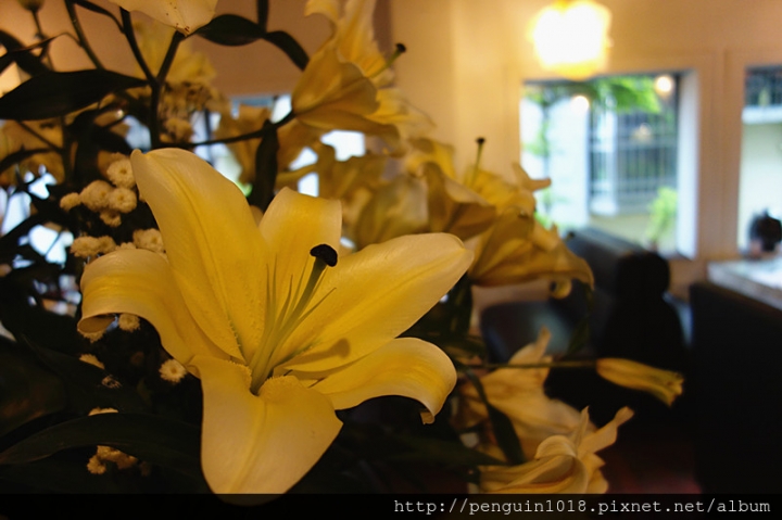 【彰化北斗】家園藝術咖啡牛排館；有溫度的美味牛排，環境雅緻氣氛好，簡餐跟火鍋都好好吃，經營30年的好味道(附專屬停車場/鄰近田尾花市)。