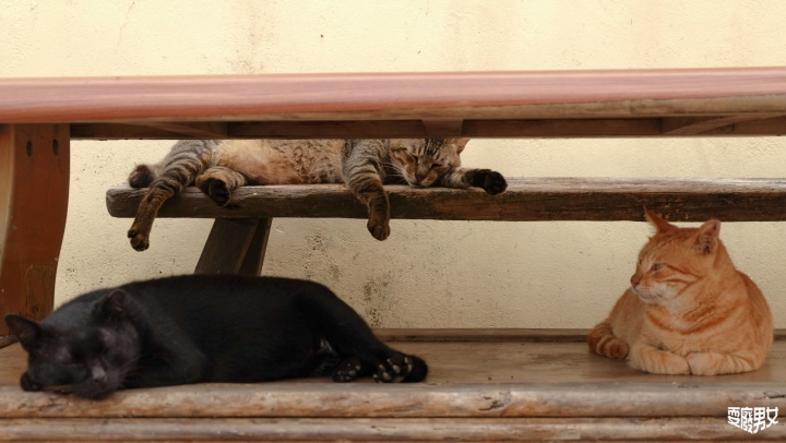 [環島●澎湖] 望安、將軍澳