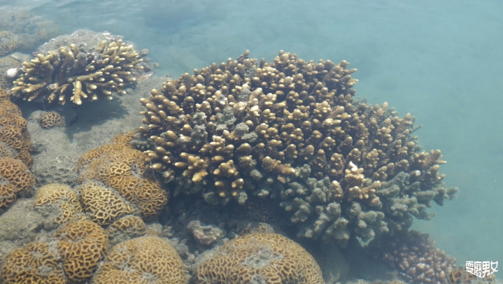 [環島●澎湖] 澎湖內海 大倉嶼