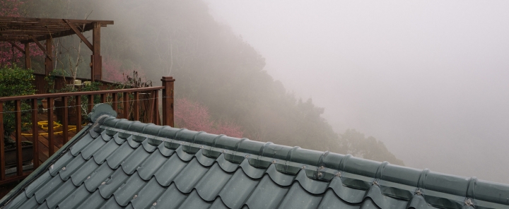[桃園復興] 來拉拉山賞櫻讓身心放鬆的悠閒好選擇- 谷點咖啡民宿一泊二食體驗