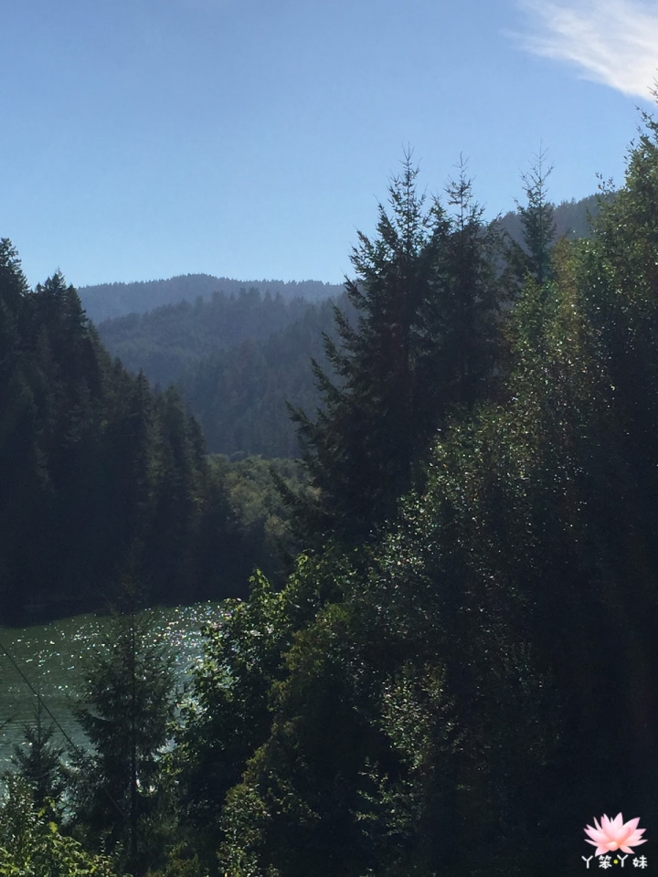 【美國・Reedsport・2015】Loon Lake露營體驗