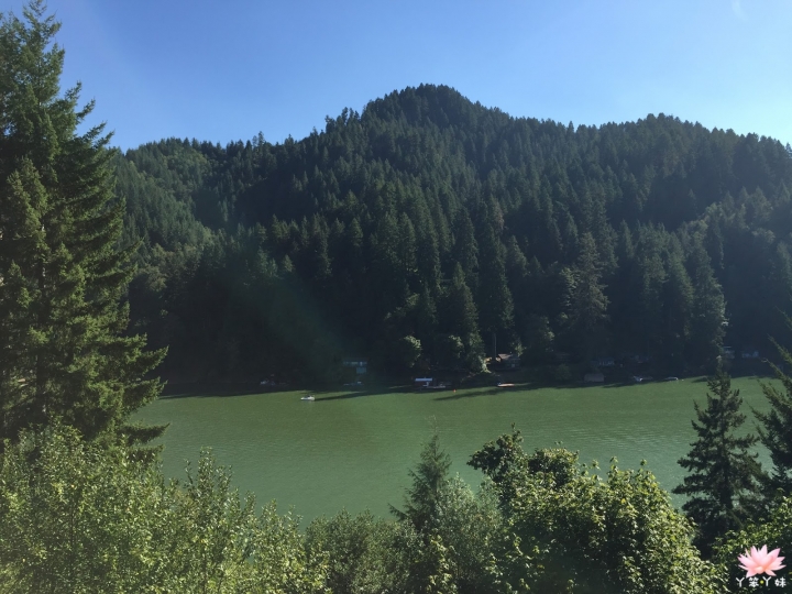 【美國・Reedsport・2015】Loon Lake露營體驗