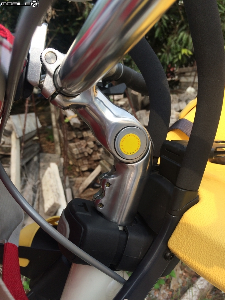 GIANT Suede 1 + Bobike & Yepp購車心得分享