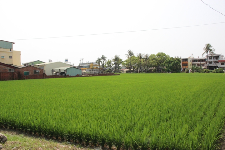 騎 遊 屏 東 萬 丹 鄉  興 全 動 畫 彩 繪 村