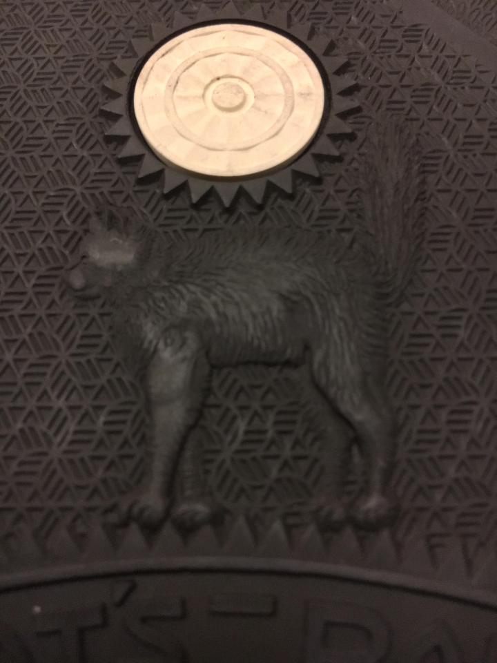 [開箱+遊記] 京阪牛圈巡禮之藍著堂奇緣之二 Lone Wolf Mechanic Boots