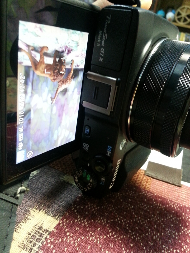 Canon PowerShot G1X MarkII  相機畫面翻轉顛倒