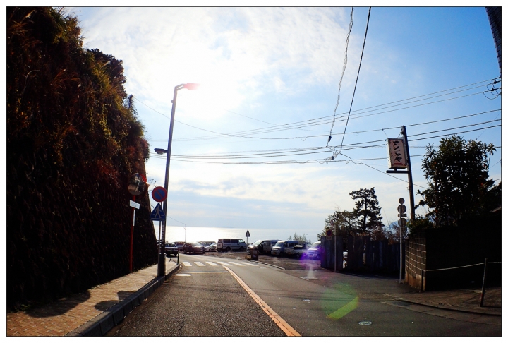 [SKYWAVE TYPE-S]日本 靜岡―伊豆追櫻「河津櫻花見旅」