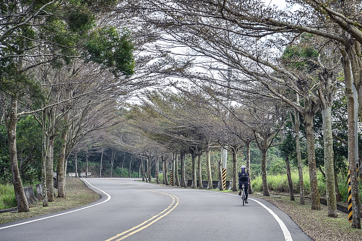 Bicycle Travel - 彰南中三縣三日(139縣道、日月潭自行車道、136縣道)