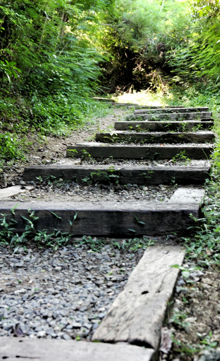 環島 - 尋找我的感動地圖(文長、圖多) - 全文完