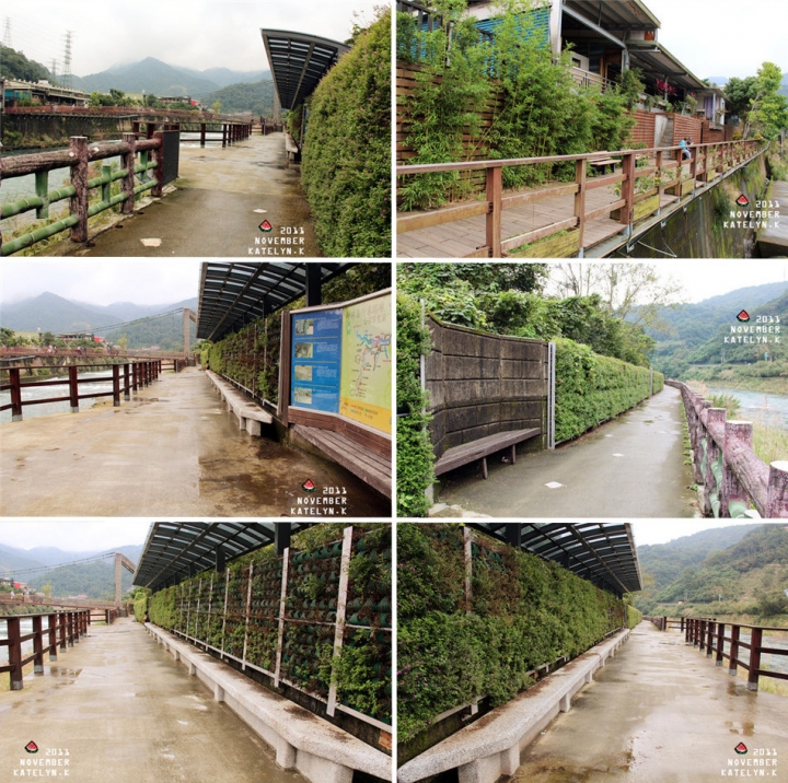 【新北坪林區景點】坪林親水吊橋．坪林形象商圈．茶業博物館