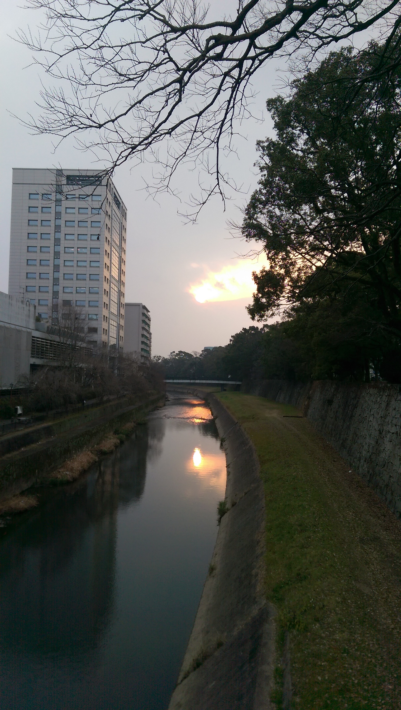 九州八日自由行 Part3(熊本、福岡)(圖多慎入)