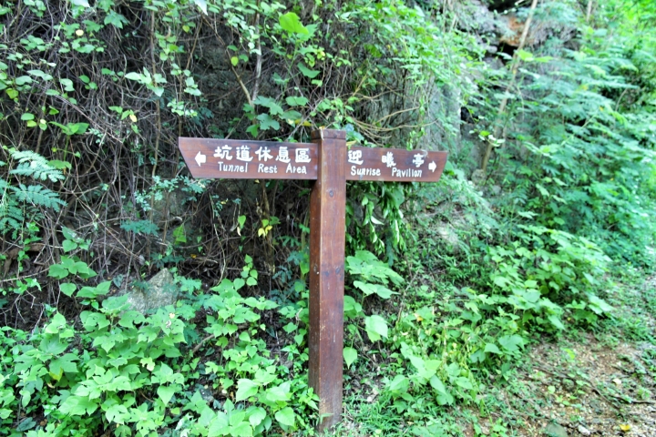 環島 - 尋找我的感動地圖(文長、圖多) - 全文完
