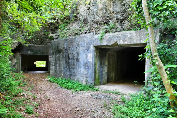 環島 - 尋找我的感動地圖(文長、圖多) - 全文完
