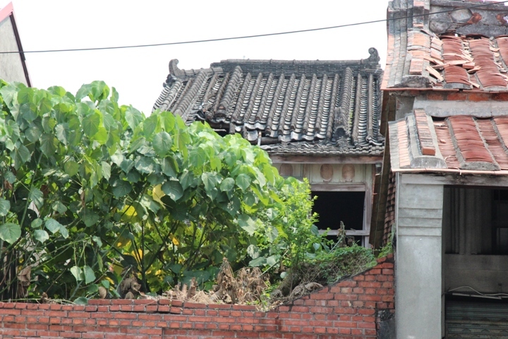 騎 遊 屏 東 萬 丹 鄉  興 全 動 畫 彩 繪 村
