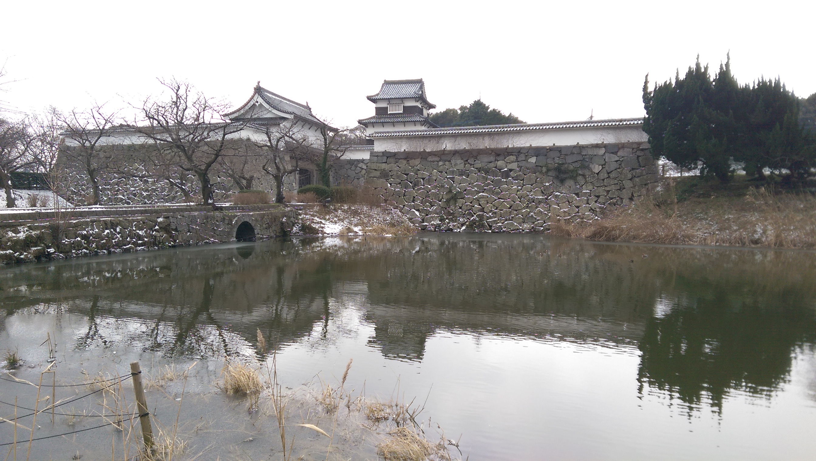 九州八日自由行 Part3(熊本、福岡)(圖多慎入)