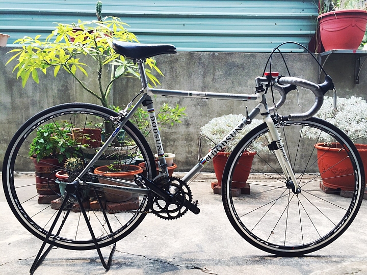 [分享] 第一台夢想車- Dodsun鈦車架+campagnolo chorus+shamal Mille