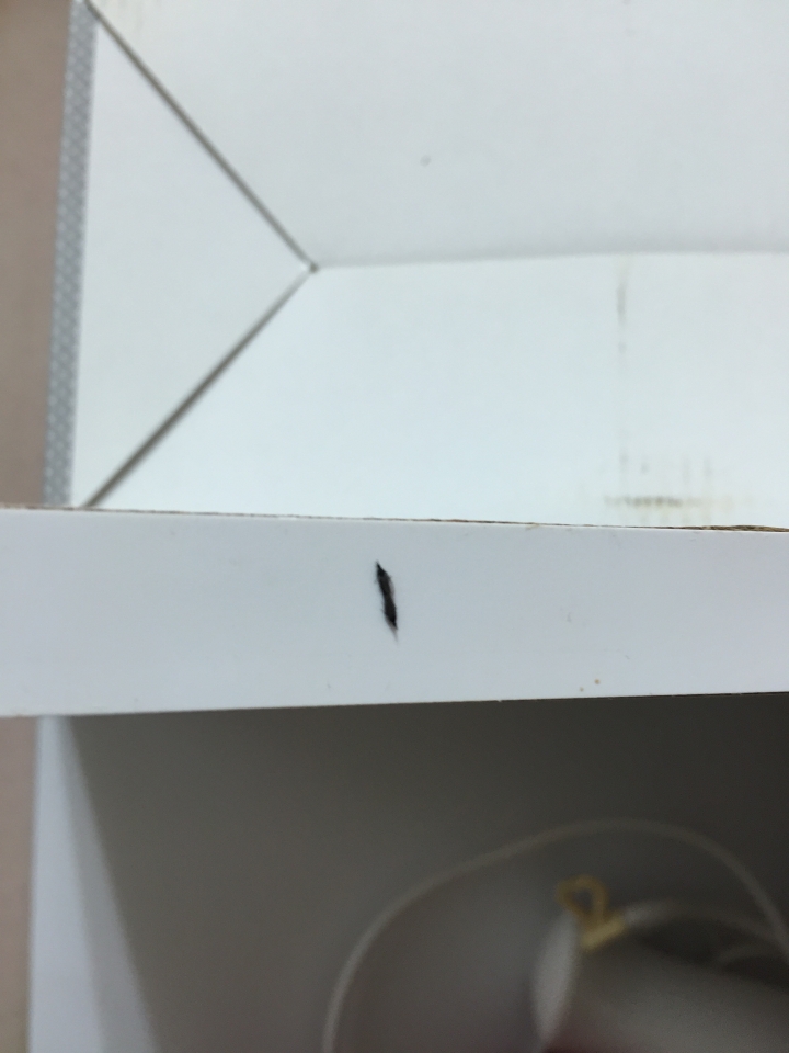 請教家裡出現這種小蟲