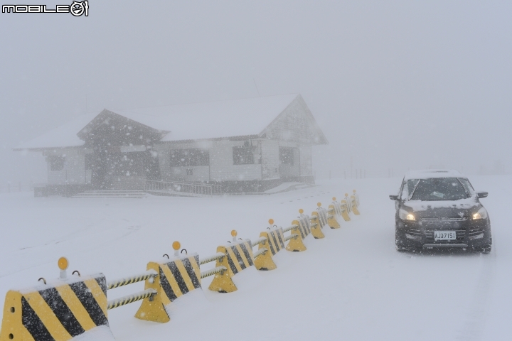 Ford kuga 2WD 合歡山賞雪