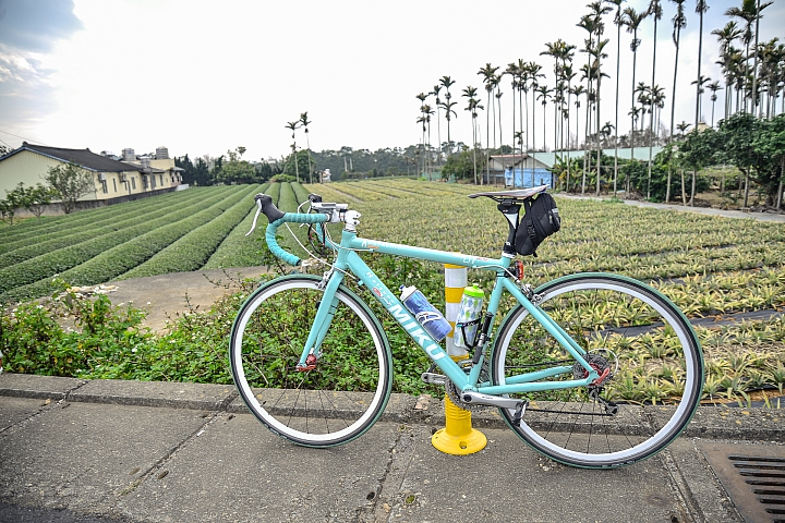 Bicycle Travel - 彰南中三縣三日(139縣道、日月潭自行車道、136縣道)