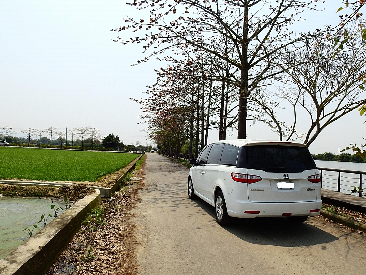 從開著SUV，到MPV，到S5，這時節木棉花依然美麗。