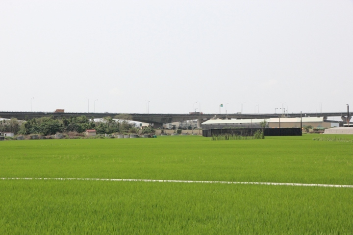 騎 遊 屏 東 萬 丹 鄉  興 全 動 畫 彩 繪 村