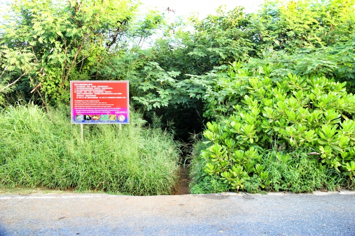 環島 - 尋找我的感動地圖(文長、圖多) - 全文完