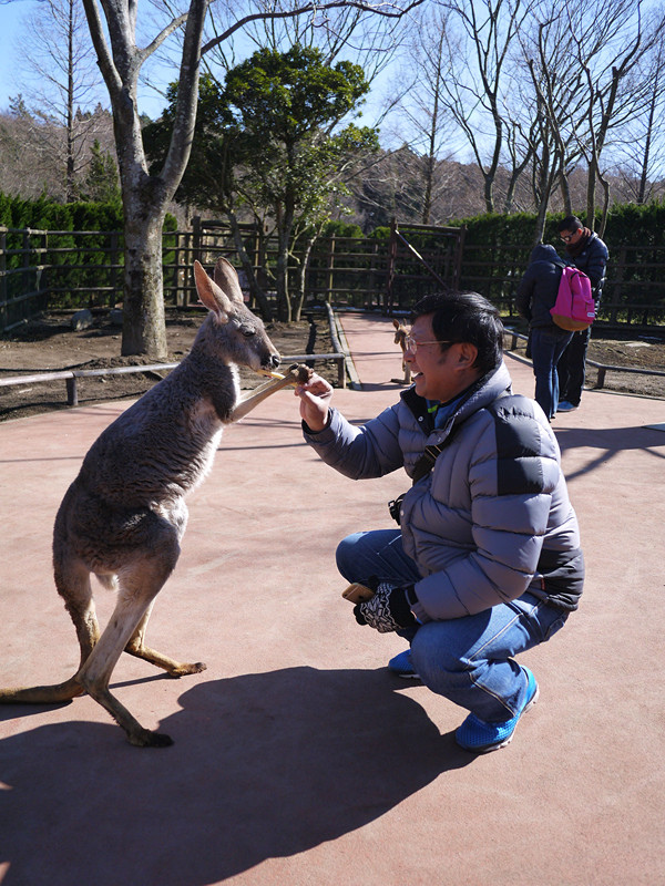 【日本 九州/大分】九州自然動物公園--餵食動物的近距離接觸