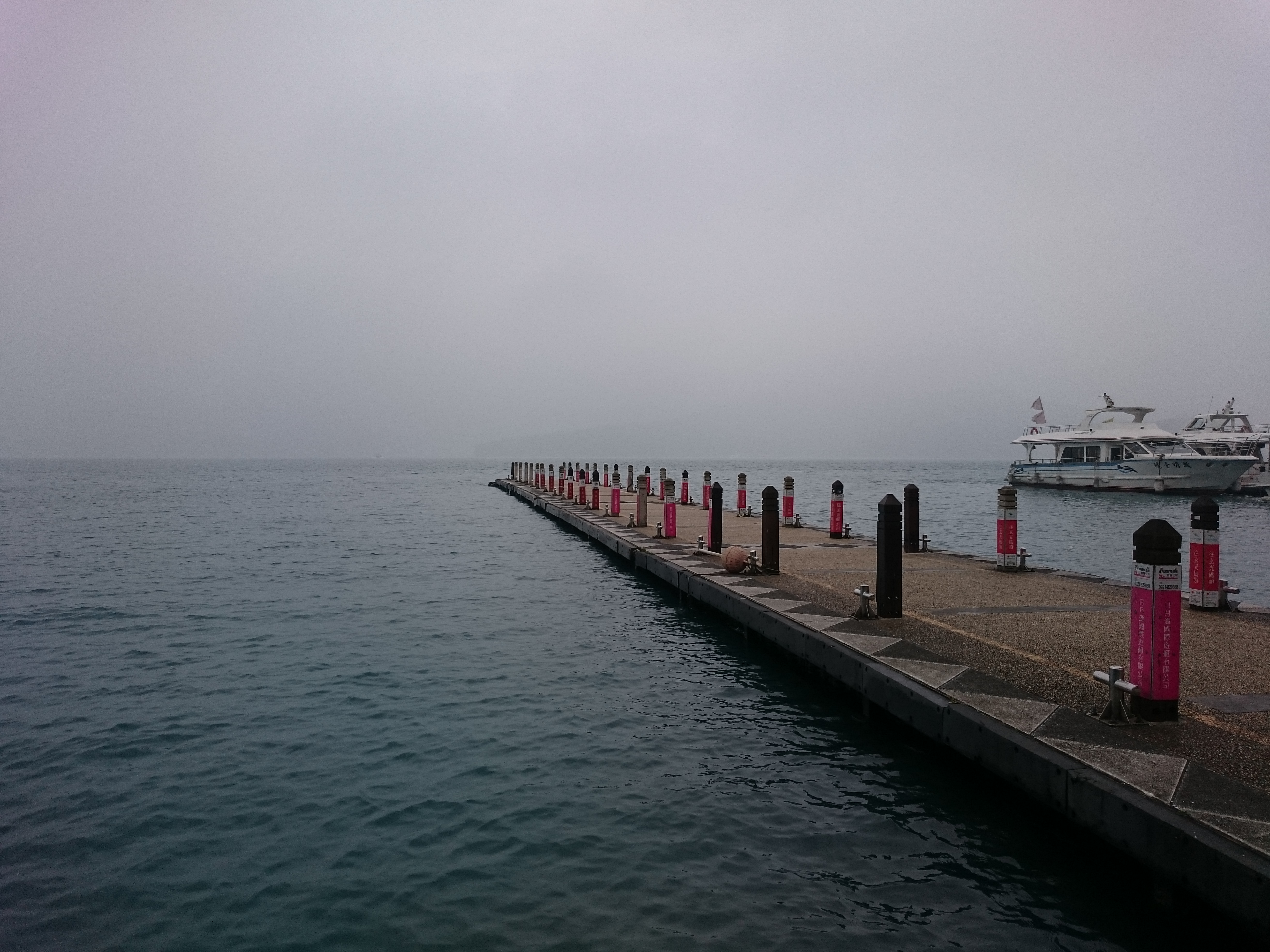 拍照全自動，五隻裡面有合你胃口的嗎？