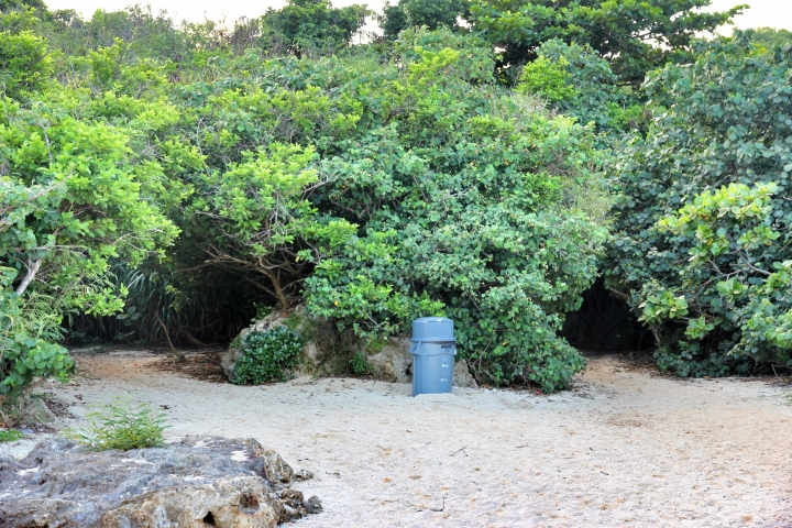 環島 - 尋找我的感動地圖(文長、圖多) - 全文完