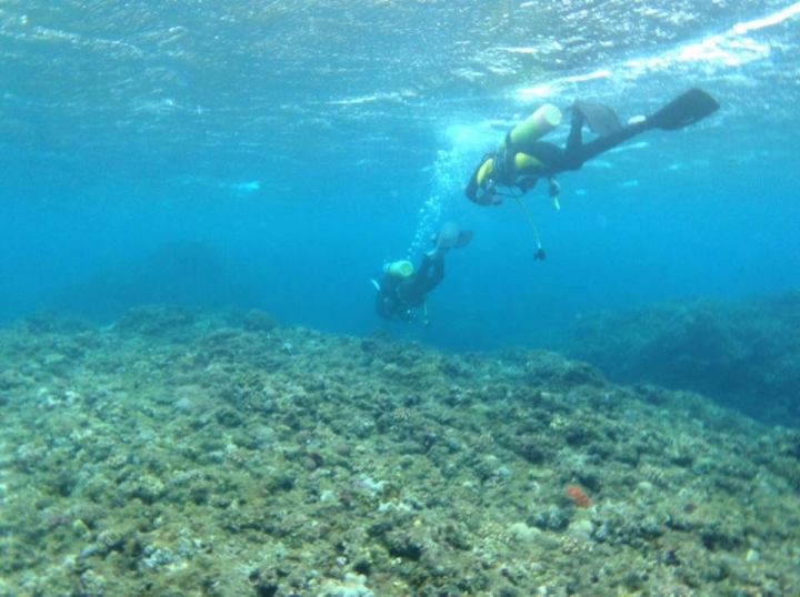 要入海洋幾年了,想入手一台相機留下美好的照片(TG4疑問)