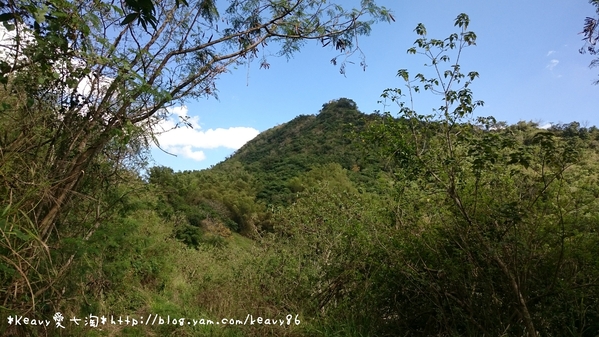 ■高雄■旗山，登【旗尾山】觀綿延不絕的稜線之美。