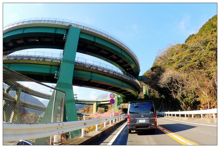 [SKYWAVE TYPE-S]日本 靜岡―伊豆追櫻「河津櫻花見旅」