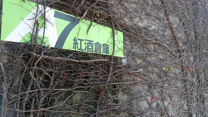 s7 Edge跟A9   華山隨手拍照分享