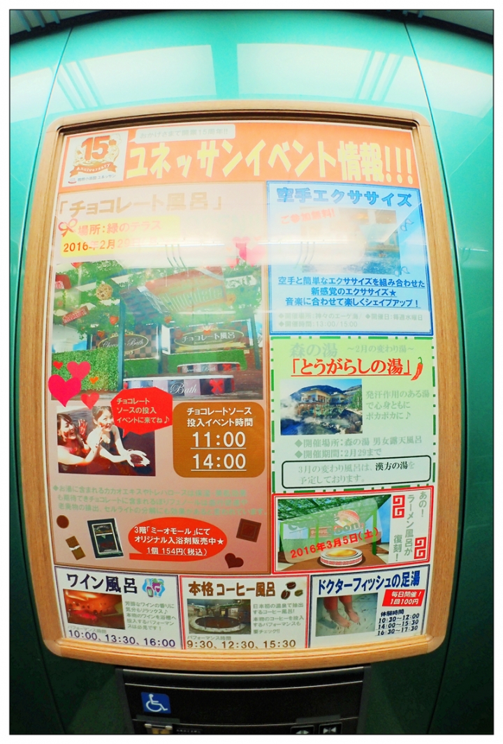 [SKYWAVE TYPE-S]日本 靜岡―伊豆追櫻「河津櫻花見旅」