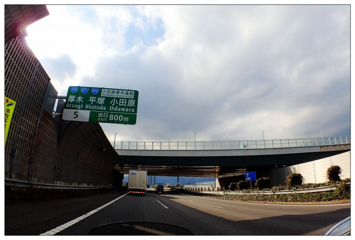 [SKYWAVE TYPE-S]日本 靜岡―伊豆追櫻「河津櫻花見旅」