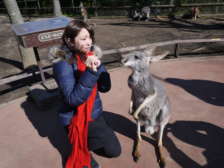 【日本 九州/大分】九州自然動物公園--餵食動物的近距離接觸