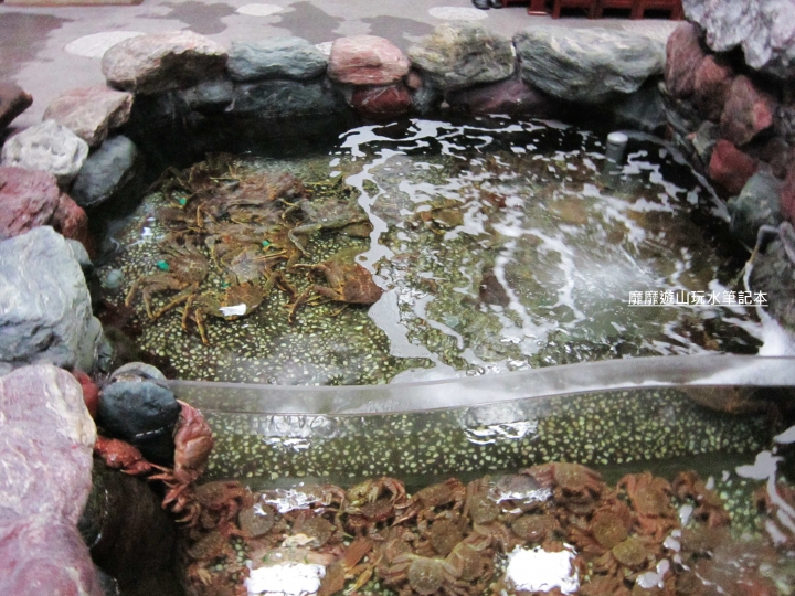 北海道札幌~螃蟹本家吃螃蟹大餐