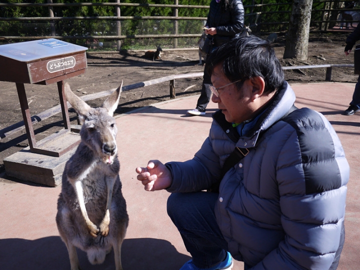 【日本 九州/大分】九州自然動物公園--餵食動物的近距離接觸